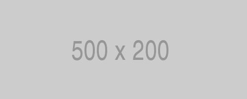litho-500×200-ph.jpg